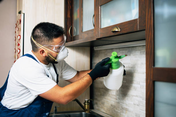 Best Flea Control Services  in La Grulla, TX